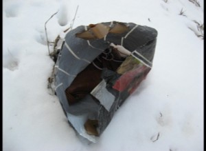 Image6